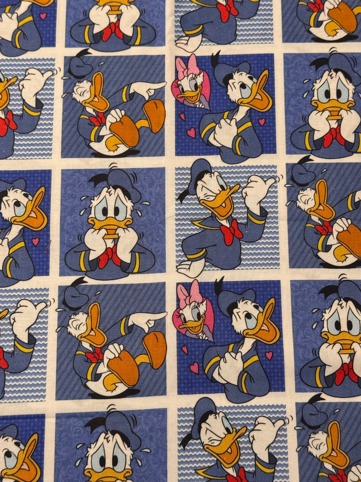 Disney Inspired  Lanyards